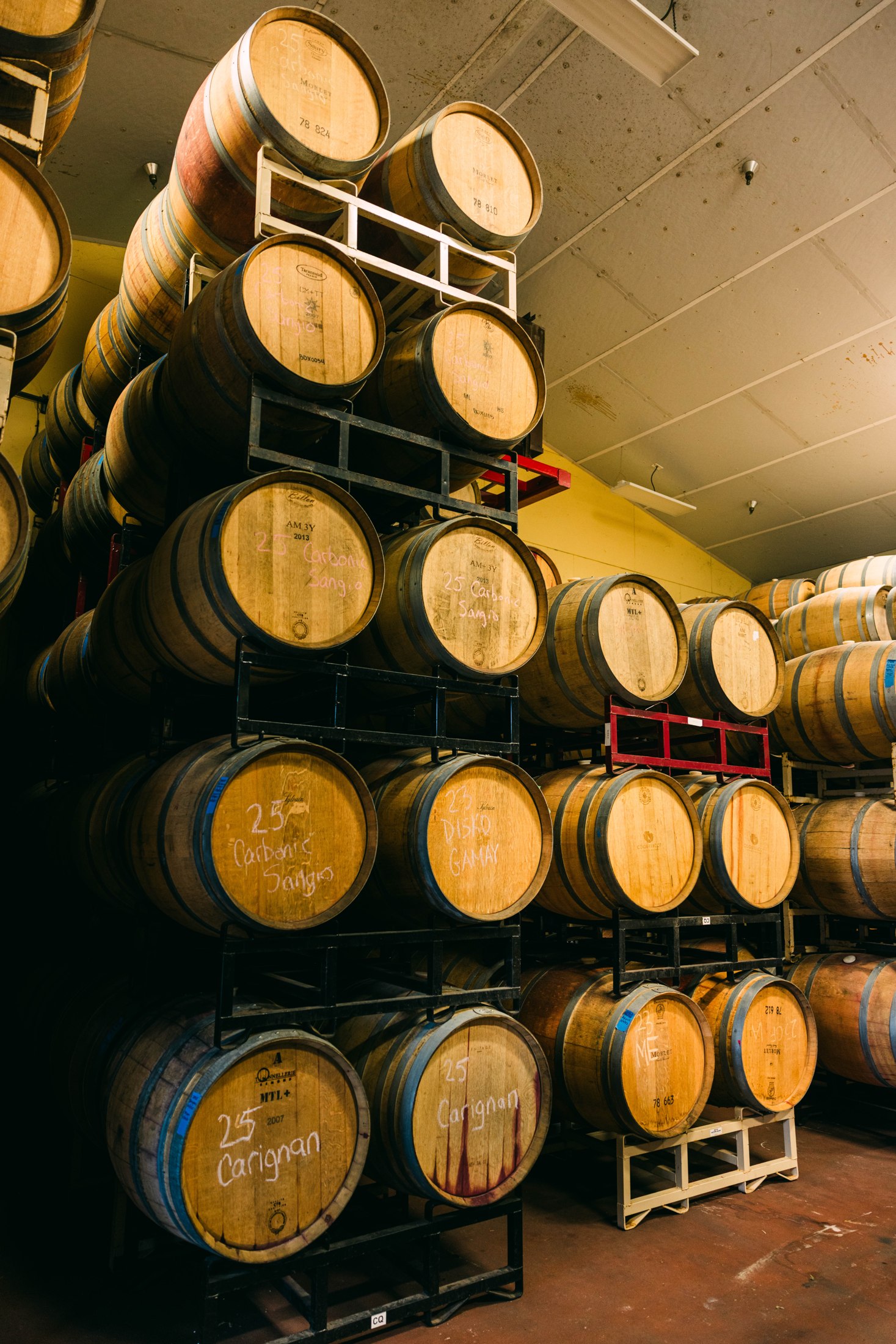 In the cellar