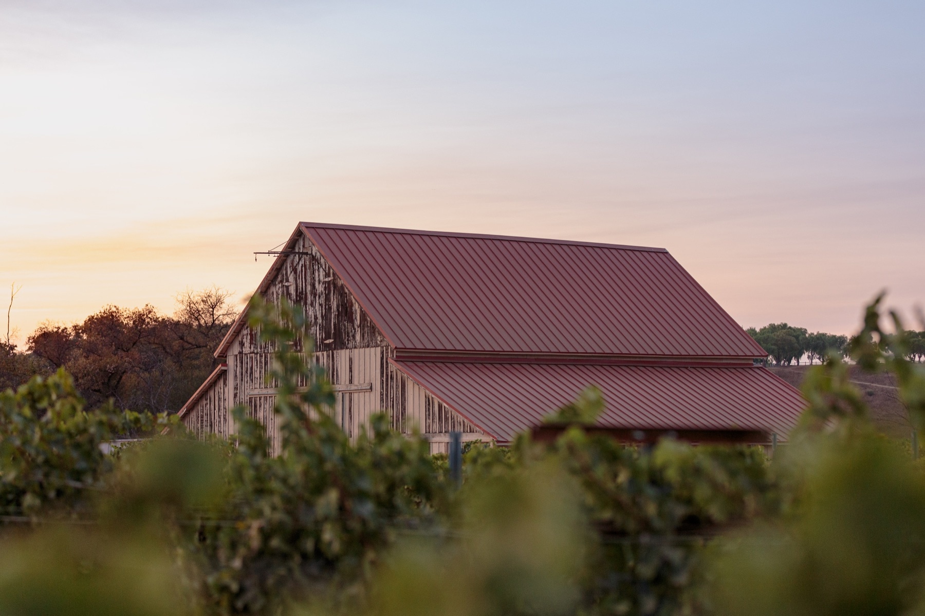 Coquelicot estate vineyard in the Santa Ynez Valley