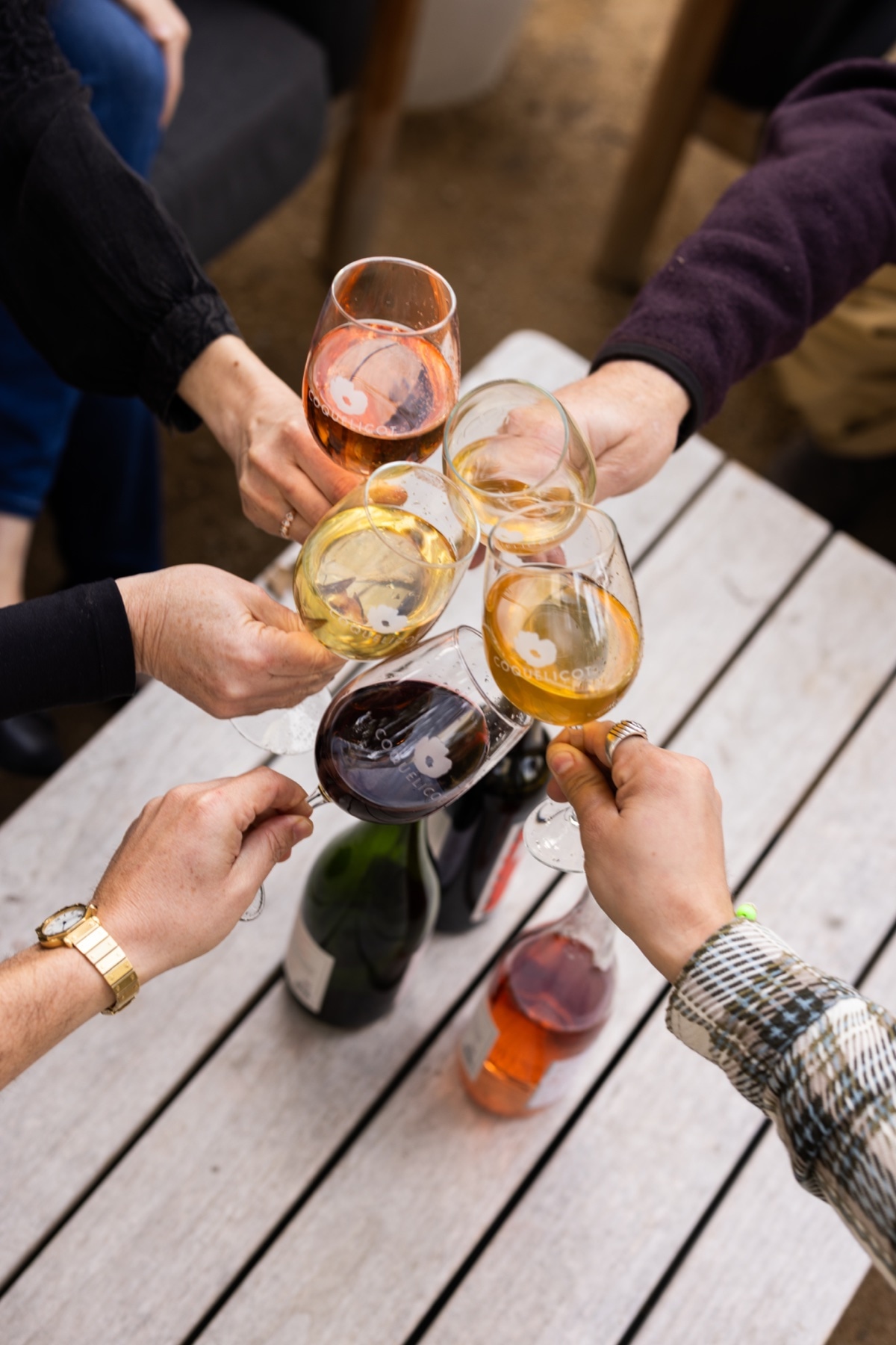 Friends raising glasses of Coquelicot wine around a garden table
