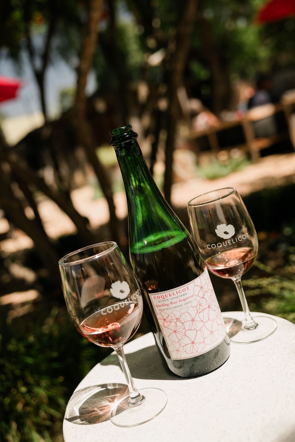 Wine and glasses on a garden table