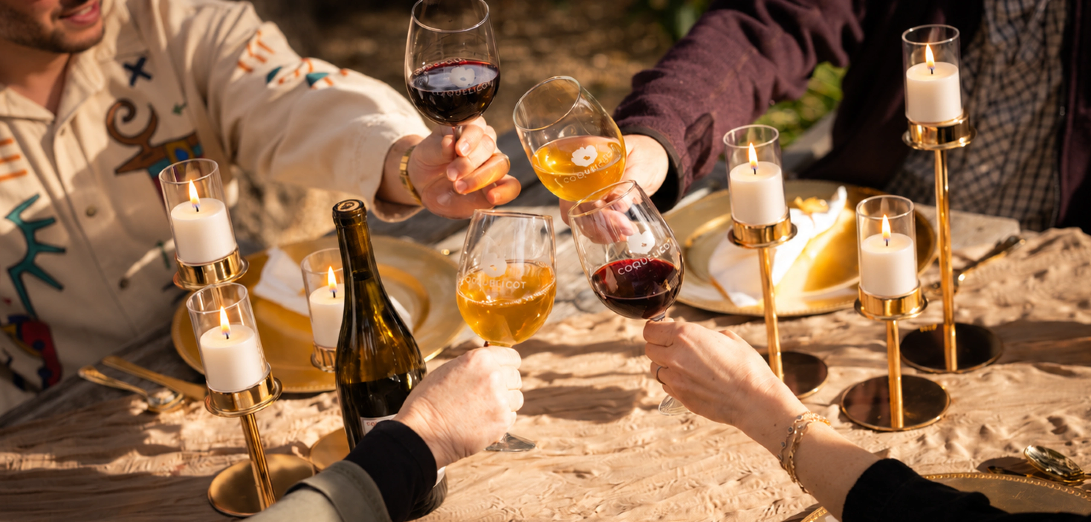 Friends toasting with wine glasses