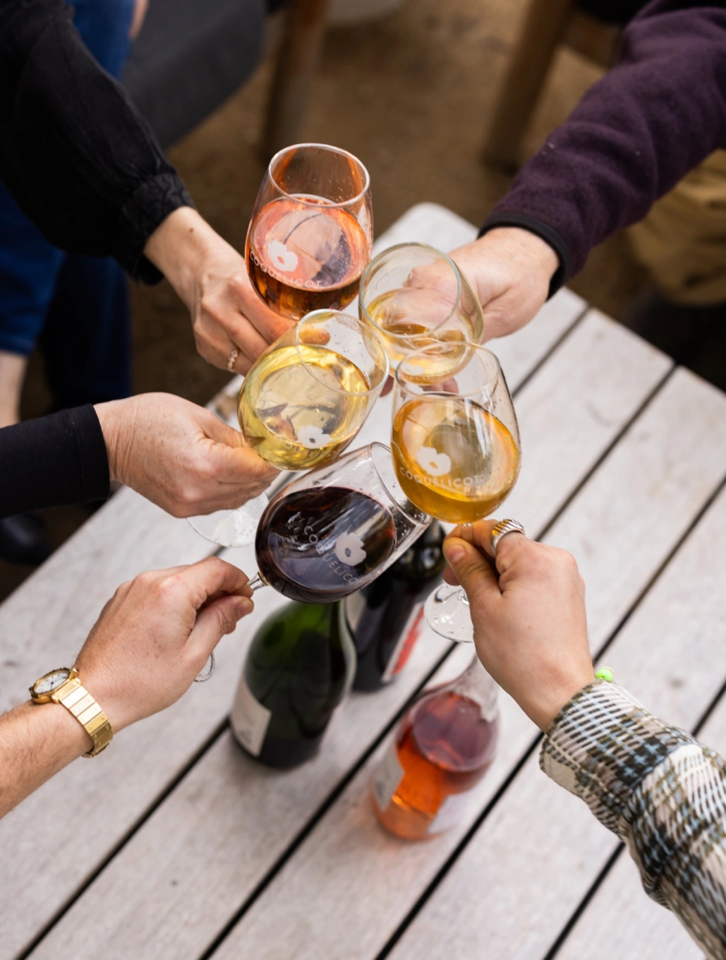 Friends raising glasses of Coquelicot wine around a garden table