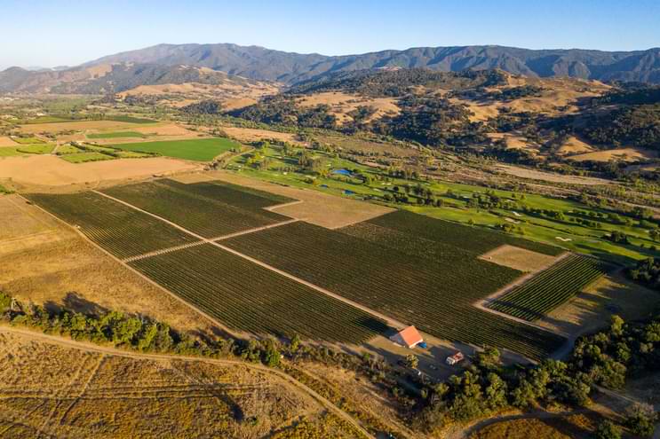 Coquelicot Estate Vineyard