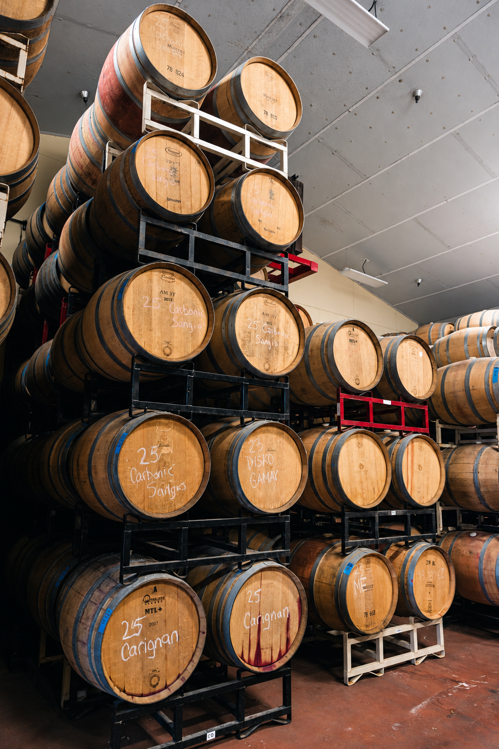 Oak barrels stacked in the cellar