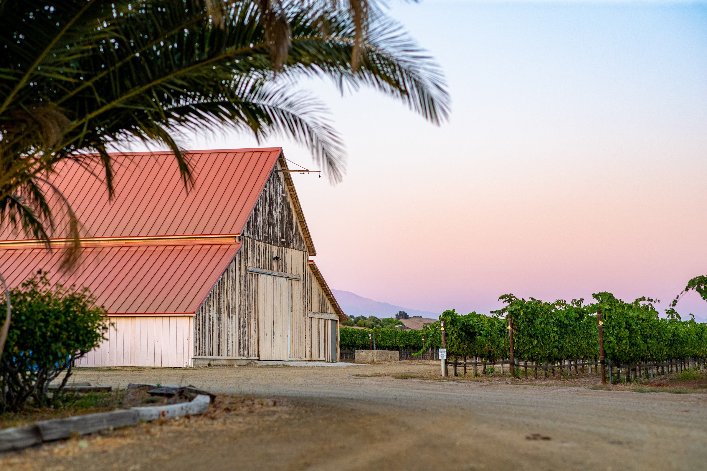 Evening light on the estate barn