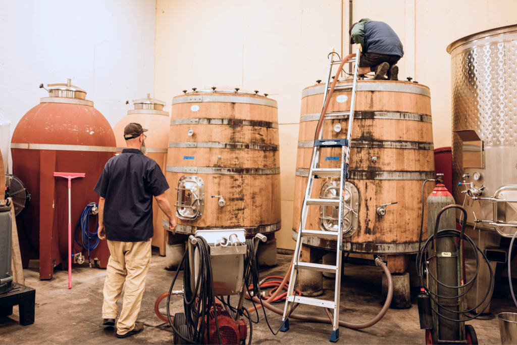 Winemaking vessels in the Coquelicot cellar